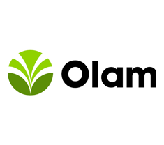 Olam